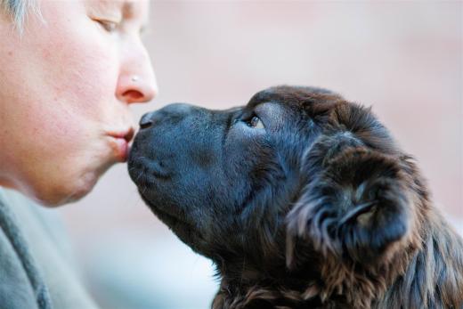 2024-04-27-19-36-21-EOS R7-6429