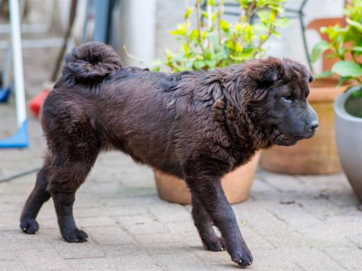 2024-04-27-19-55-20-EOS R7-6435-Verbessert-RR