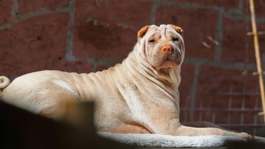 2024-04-30-11-02-16-EOS R6m2-3921