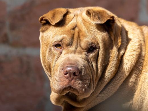 2024-04-30-11-08-11-EOS R6m2-3969