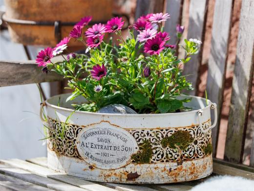 2024-05-01-10-44-12-EOS R6m2-4118