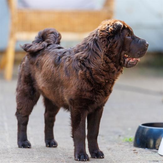 2024-05-01-10-50-01-EOS R6m2-4138