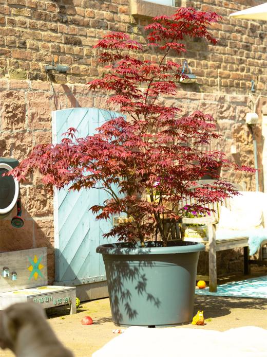 2024-05-01-10-57-37-EOS R6m2-4142