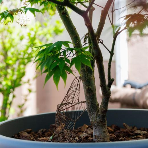 2024-05-01-10-57-49-EOS R6m2-4144