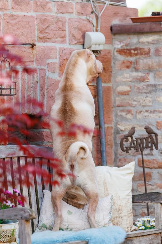 2024-05-01-12-54-55-EOS R6m2-4169