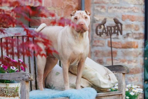 2024-05-01-12-55-04-EOS R6m2-4176