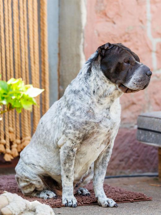 2024-05-01-12-57-33-EOS R6m2-4177