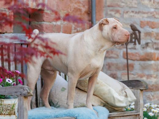 2024-05-01-13-00-27-EOS R6m2-4194