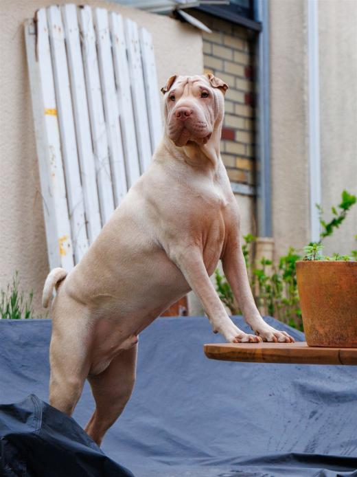 2024-05-03-17-09-14-EOS R7-6473