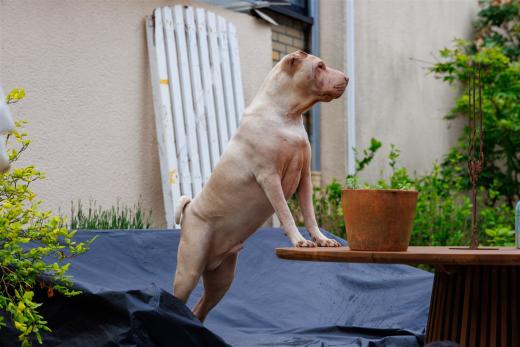 2024-05-03-17-09-22-EOS R7-6479-Verbessert-RR