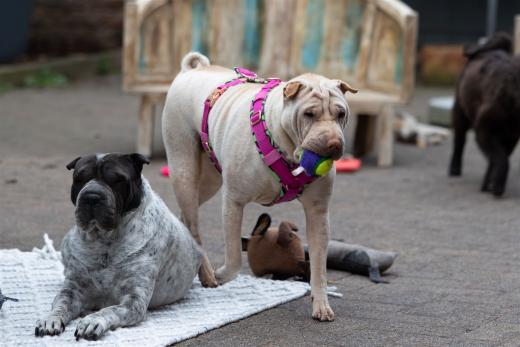 2024-05-03-17-11-45-EOS R7-6486-Verbessert-RR