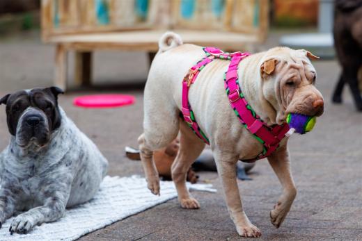 2024-05-03-17-11-45-EOS R7-6487-Verbessert-RR