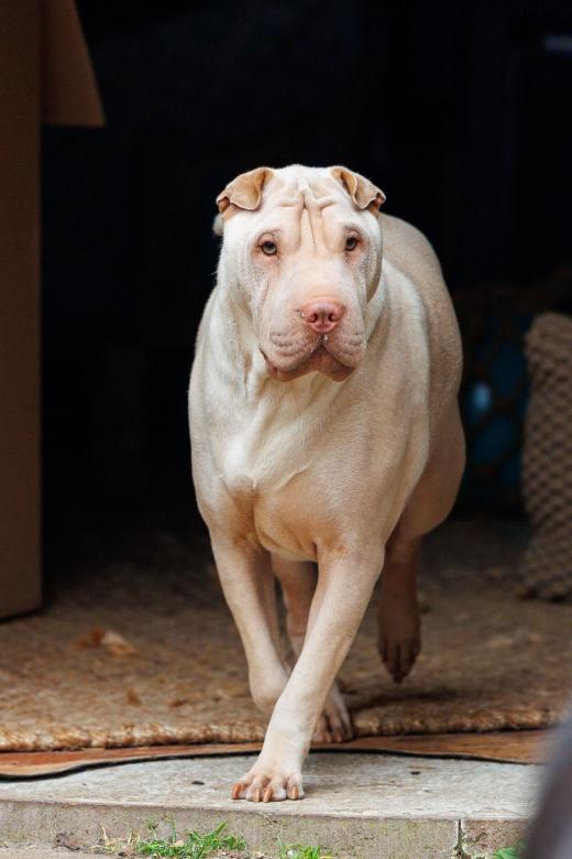 2024-05-04-13-30-25-EOS R6m2-0068