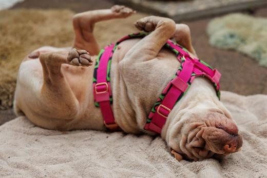 2024-05-04-13-33-40-EOS R6m2-0091