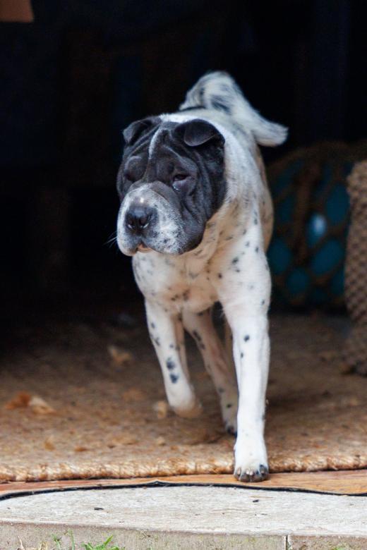 2024-05-04-13-36-31-EOS R6m2-0108