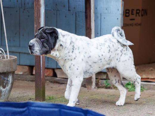 2024-05-04-13-36-32-EOS R6m2-0111