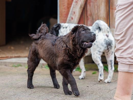 2024-05-04-13-42-37-EOS R6m2-0151