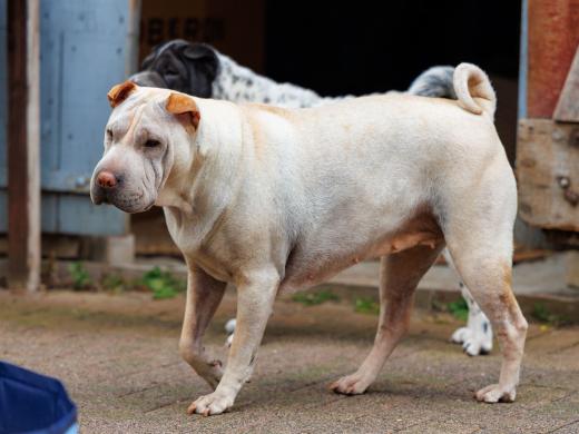 2024-05-04-13-42-44-EOS R6m2-0158