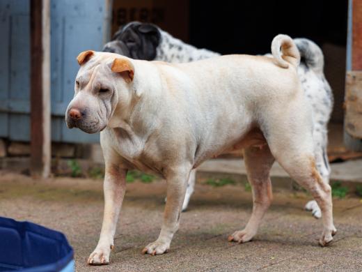 2024-05-04-13-42-44-EOS R6m2-0159