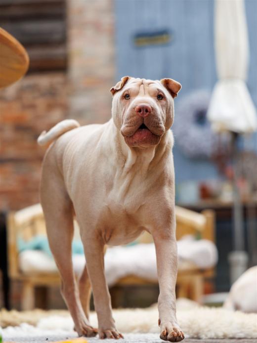 2024-05-04-13-54-58-EOS R6m2-0208