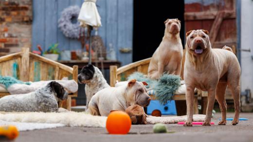 2024-05-04-13-57-10-EOS R6m2-0220-Bearbeitet