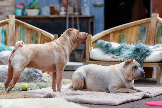 2024-05-04-14-05-22-EOS R6m2-4211