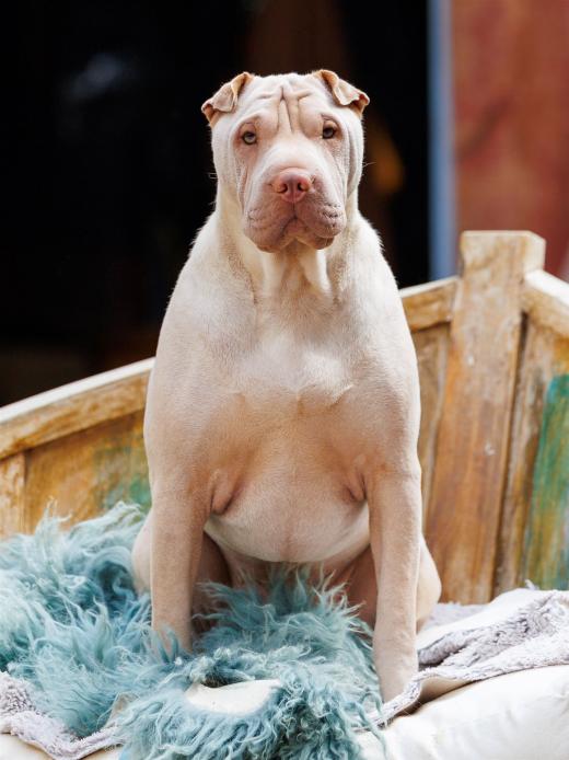 2024-05-04-14-07-39-EOS R6m2-4223