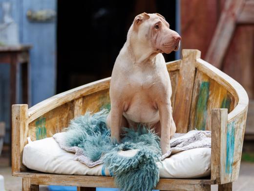 2024-05-04-14-07-45-EOS R6m2-4228