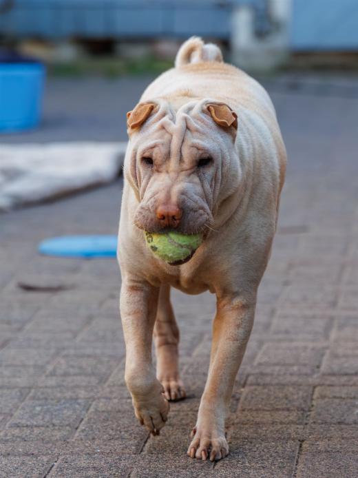 2024-05-08-19-00-39-EOS R7-6509-Verbessert-RR