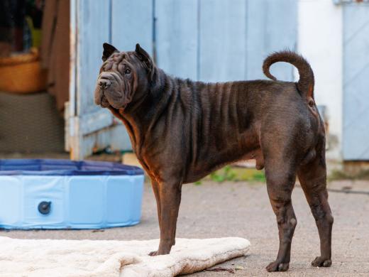 2024-05-08-19-10-55-EOS R7-6523