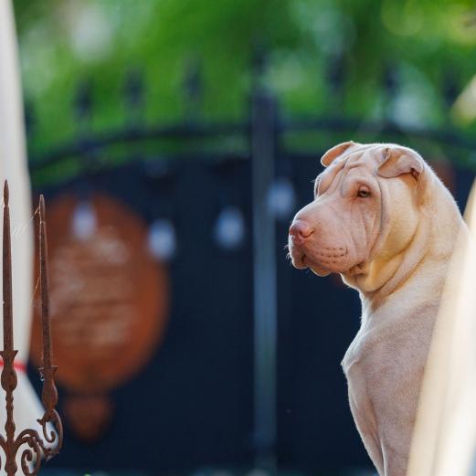 2024-05-08-19-55-55-EOS R6m2-4346