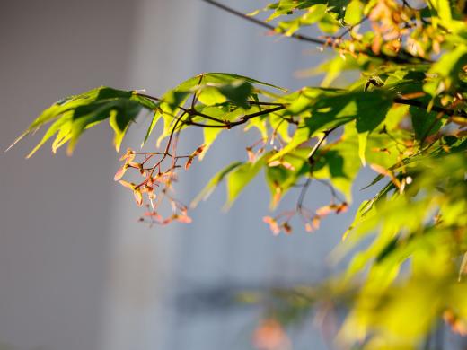 2024-05-08-19-57-32-EOS R6m2-4348