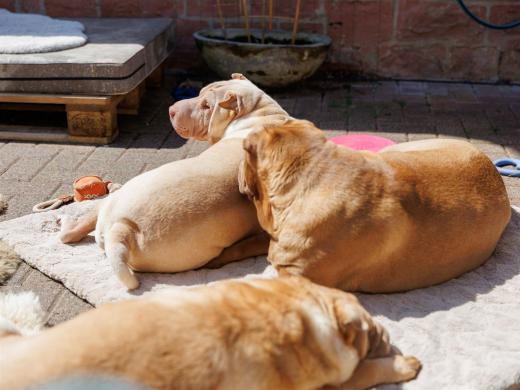 2024-05-09-12-17-46-EOS R6m2-0243_2048px