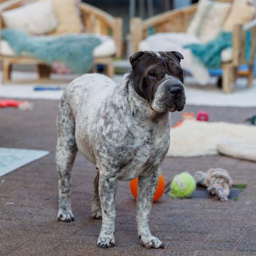 2024-05-10-19-46-10-EOS R6m2-0268_2048px