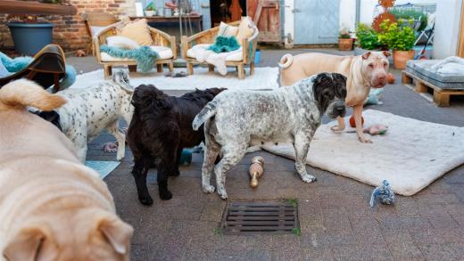 2024-05-10-20-46-13-EOS R6m2-0389-Verbessert-RR_2048px