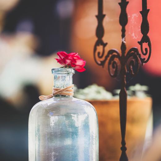 2024-05-12-16-59-42-EOS R6m2-4391