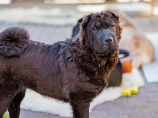 2024-05-14-17-09-04-EOS R6m2-1119