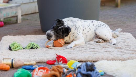 2024-05-14-17-16-57-EOS R6m2-1159