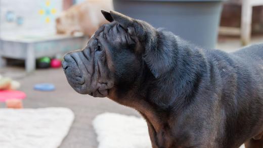 2024-05-14-20-20-36-EOS R7-6613-Verbessert-RR