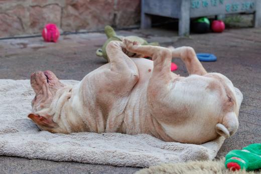 2024-05-14-20-21-34-EOS R7-6617-Verbessert-RR