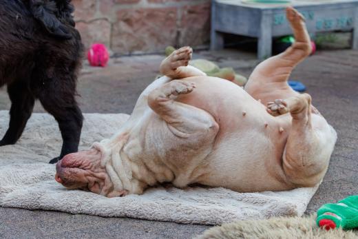 2024-05-14-20-21-52-EOS R7-6618-Verbessert-RR