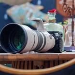 2024-05-14-20-22-19-EOS R7-6620