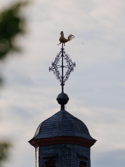 2024-05-15-19-18-00-EOS R6m2-4458