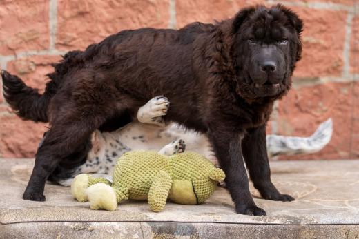 2024-05-15-19-24-36-EOS R6m2-4506