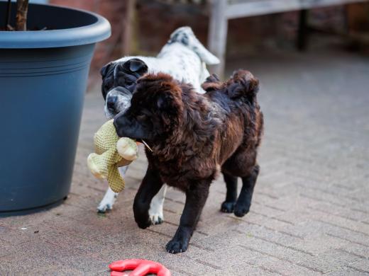 2024-05-16-20-49-39-EOS R6m2-1168-Verbessert-RR_2048px