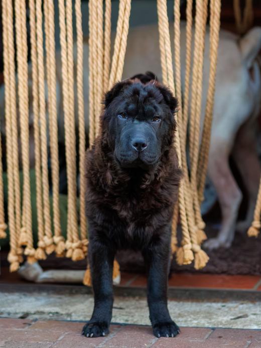 2024-05-16-20-50-53-EOS R6m2-1174-Verbessert-RR_2048px