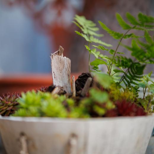 2024-05-16-20-55-26-EOS R6m2-1238-Verbessert-RR_2048px