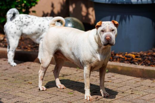 2024-05-19-13-52-41-EOS R6m2-4567