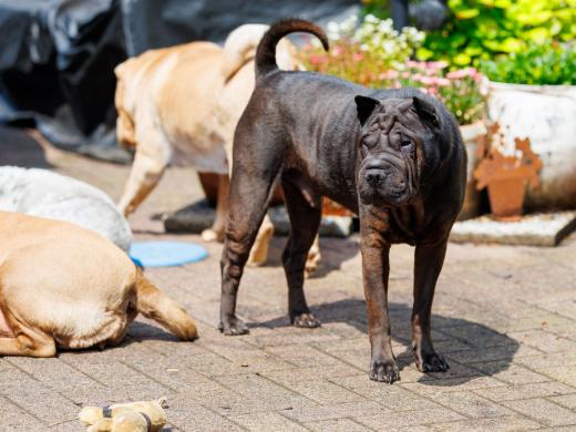 2024-05-19-13-52-46-EOS R6m2-4570