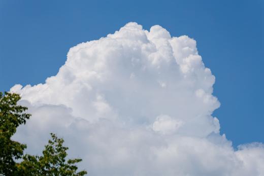 2024-05-19-14-01-40-EOS R6m2-4668